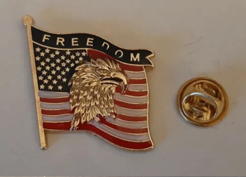 Freedom Eagle with American Flag lapel pin
