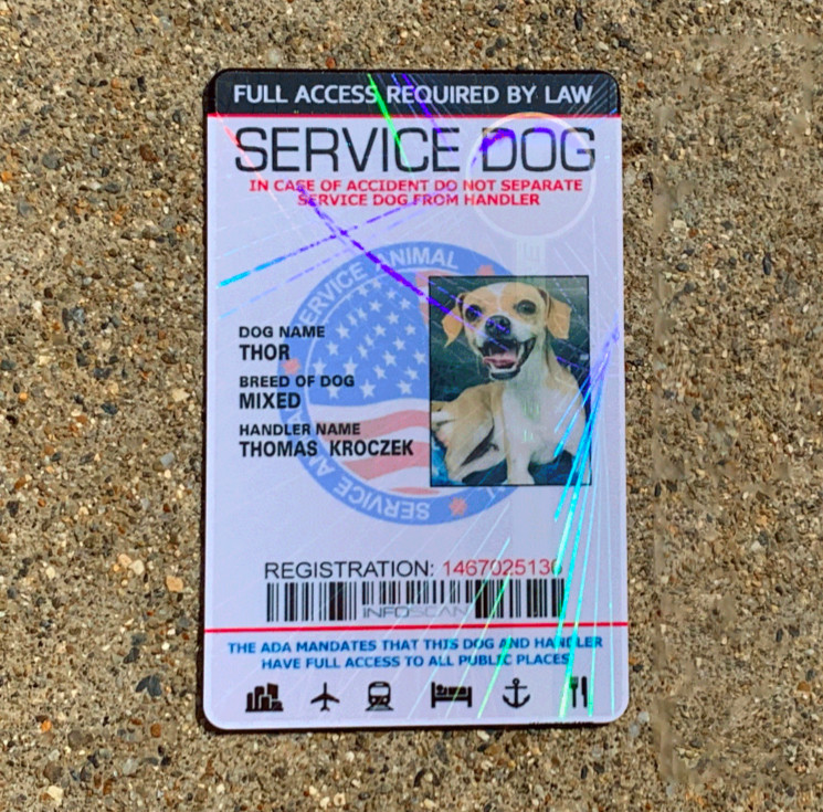 Service Dog ID Card Customized Holographic