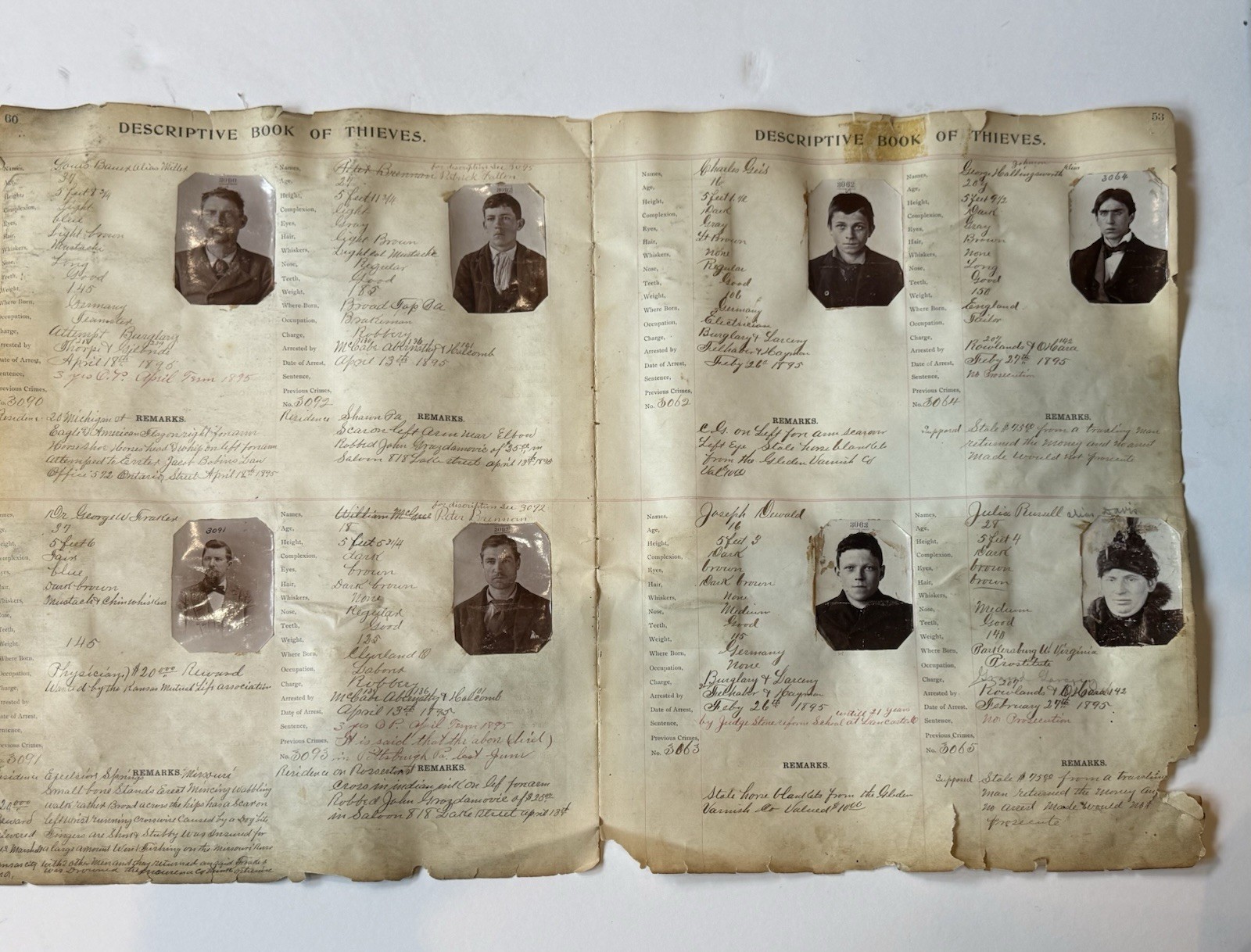 Original 1895 ARREST RECORDS POLICE PHOTO MUG SHOTS THIEVES 19th Century Prison