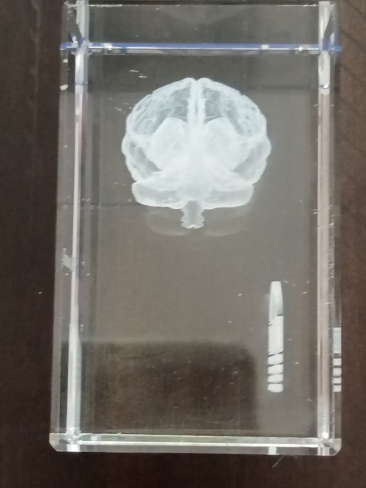 Adderall XR Glass Paperweight~Pharmaceutical Doctor Promo--RARE