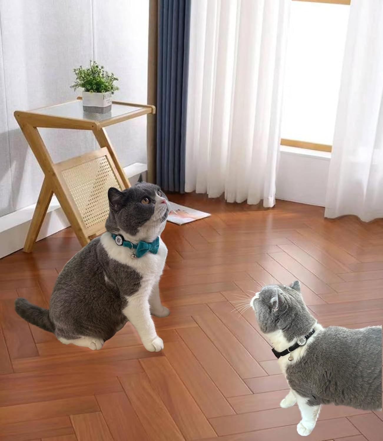 Cat Collar with Bell and Bowtie Breakaway QR Code Name Smart ID tag