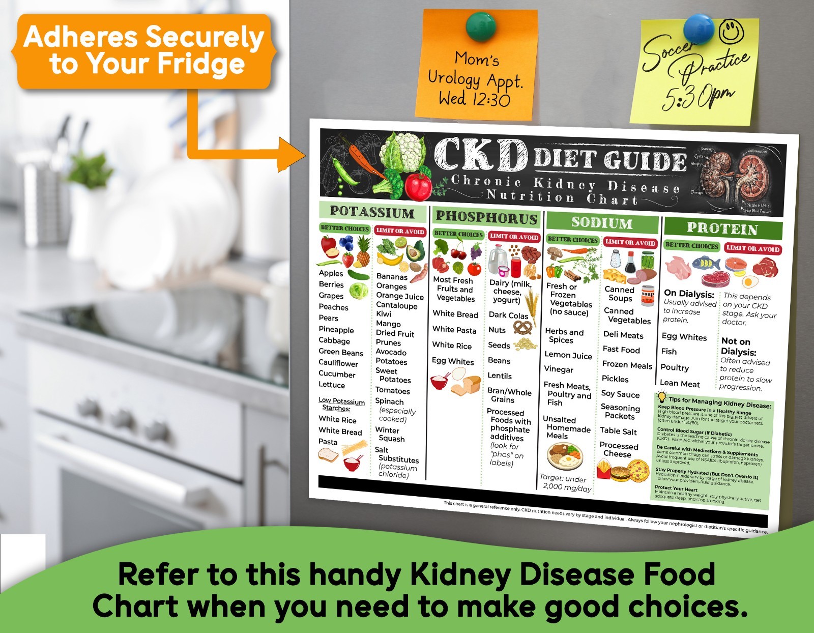 CKD Diet Guide 8.5x11 Kidney Friendly Food Chart Renal Nutrition Ref Poster Arts