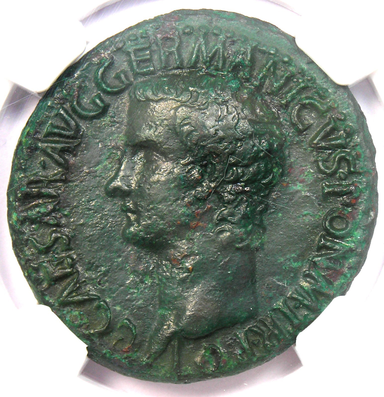 Gaius Caligula AE As Copper Roman Coin 37-41 AD - Certified NGC Choice XF (EF)