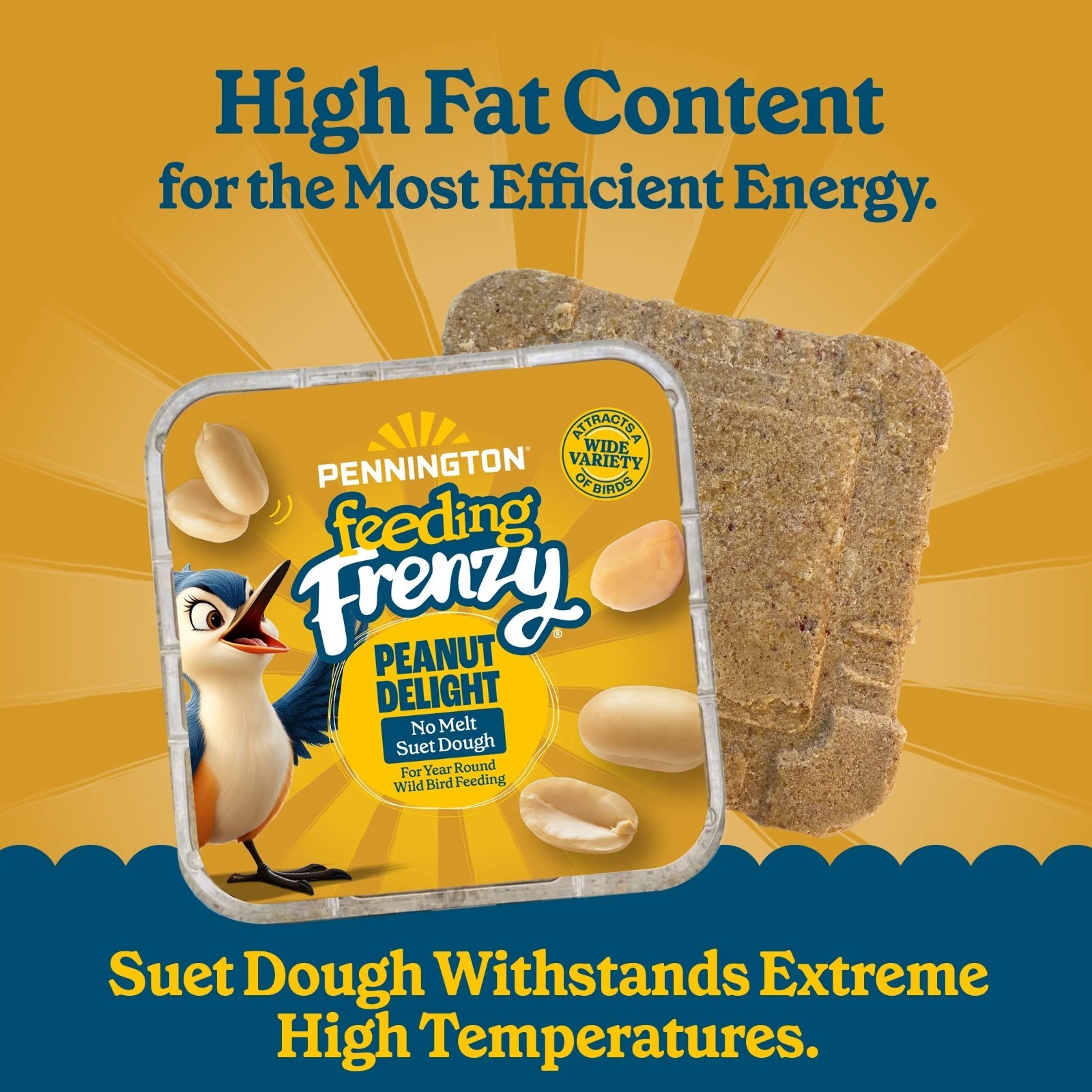 Peanut Delight Suet, 11.75 oz. Cake, Wild Bird Food, 8 Count each, 2 Pack