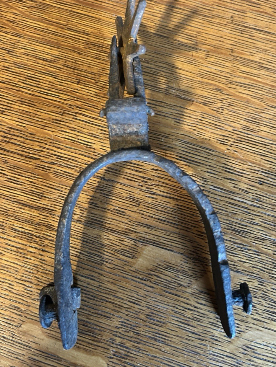 Western Type Spur with 8 Point Rowel