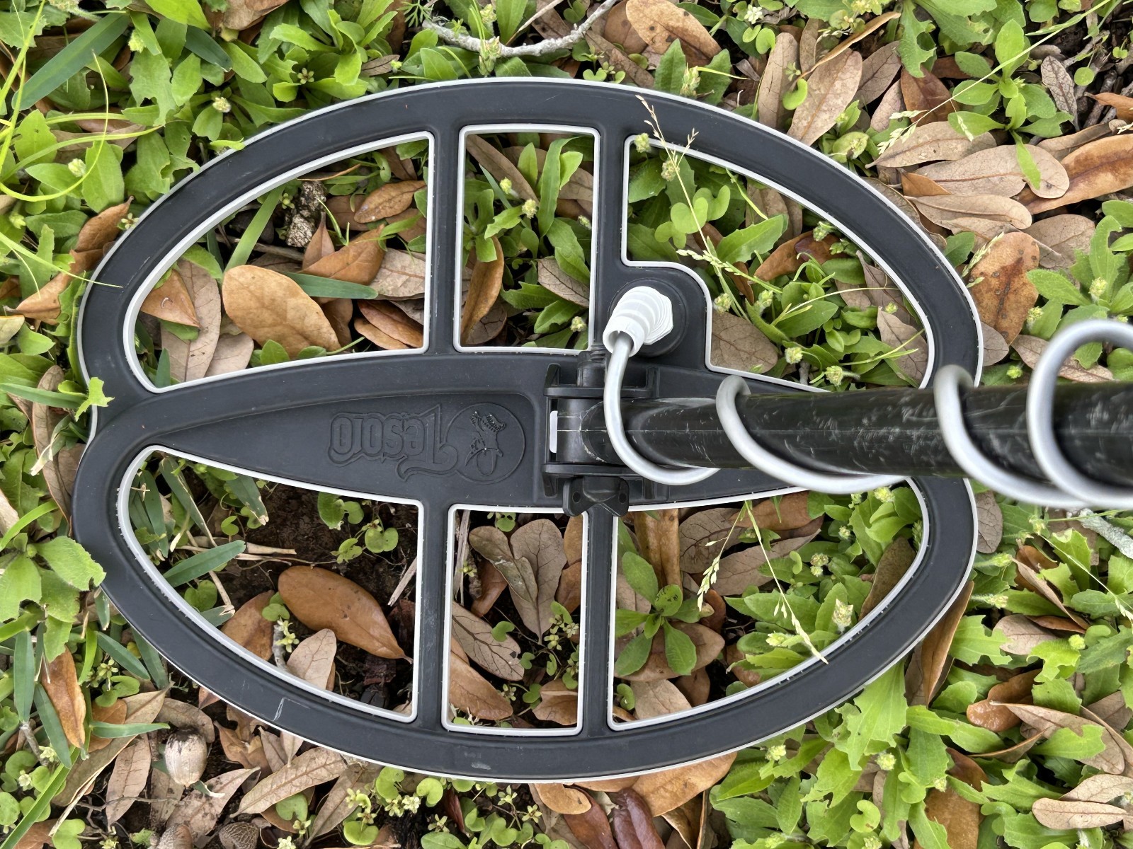 Tesoro VAQUERO Metal Detector w/ 11x8" Coil, Cover, New Battery, Manual - Nice!