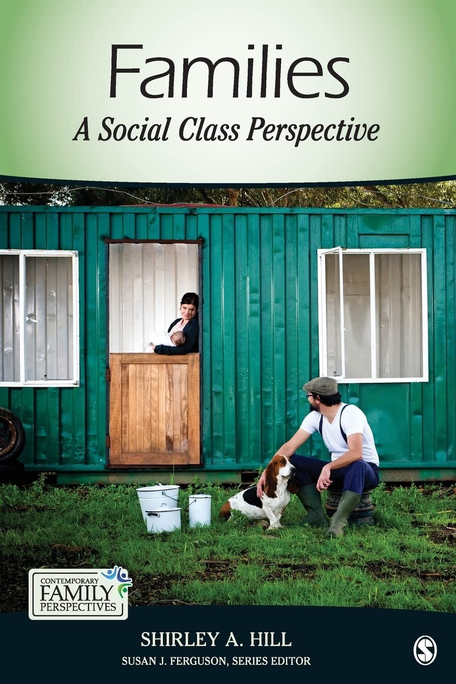 Families: A Social Class Perspective (Contemporary Family Perspectives (CFP)...