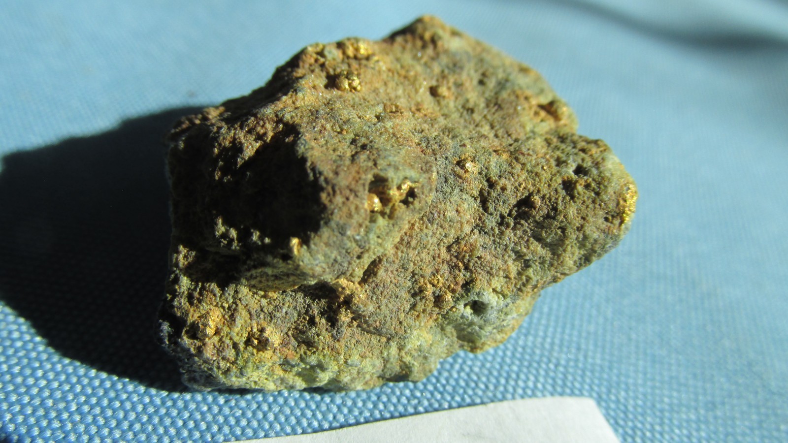 Cripple Creek Colorado Roasted Sylvanite Visible Free Gold Specimen-1.50 x 1.00