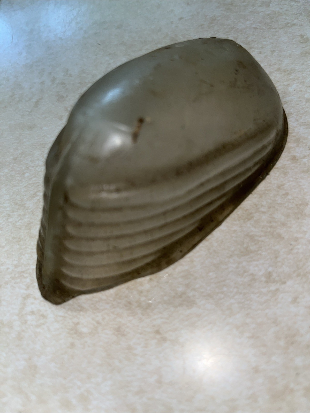 VTG Harley Solo WL WLA 45 Knucklehead Flathead G Front Fender Light Guide PH-6