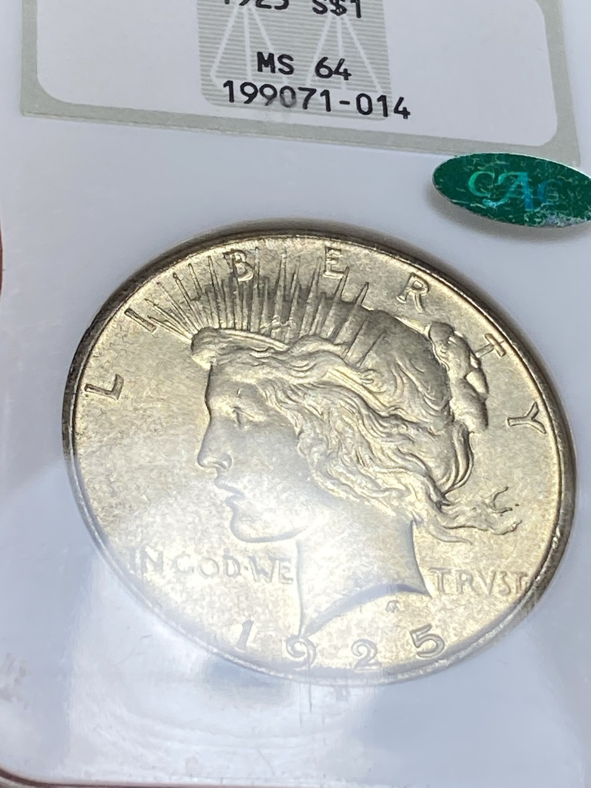 1925 Peace Dollar NGC MS 64 CAC No Barcode Fatty Nearly Full Holo Sticker