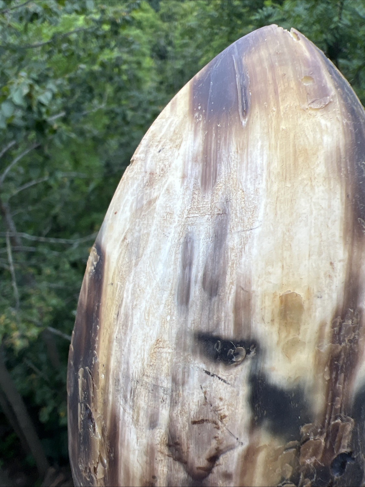 Original Native American Indian Hand carved Goat Horn Spoon; Late 19th Cent.