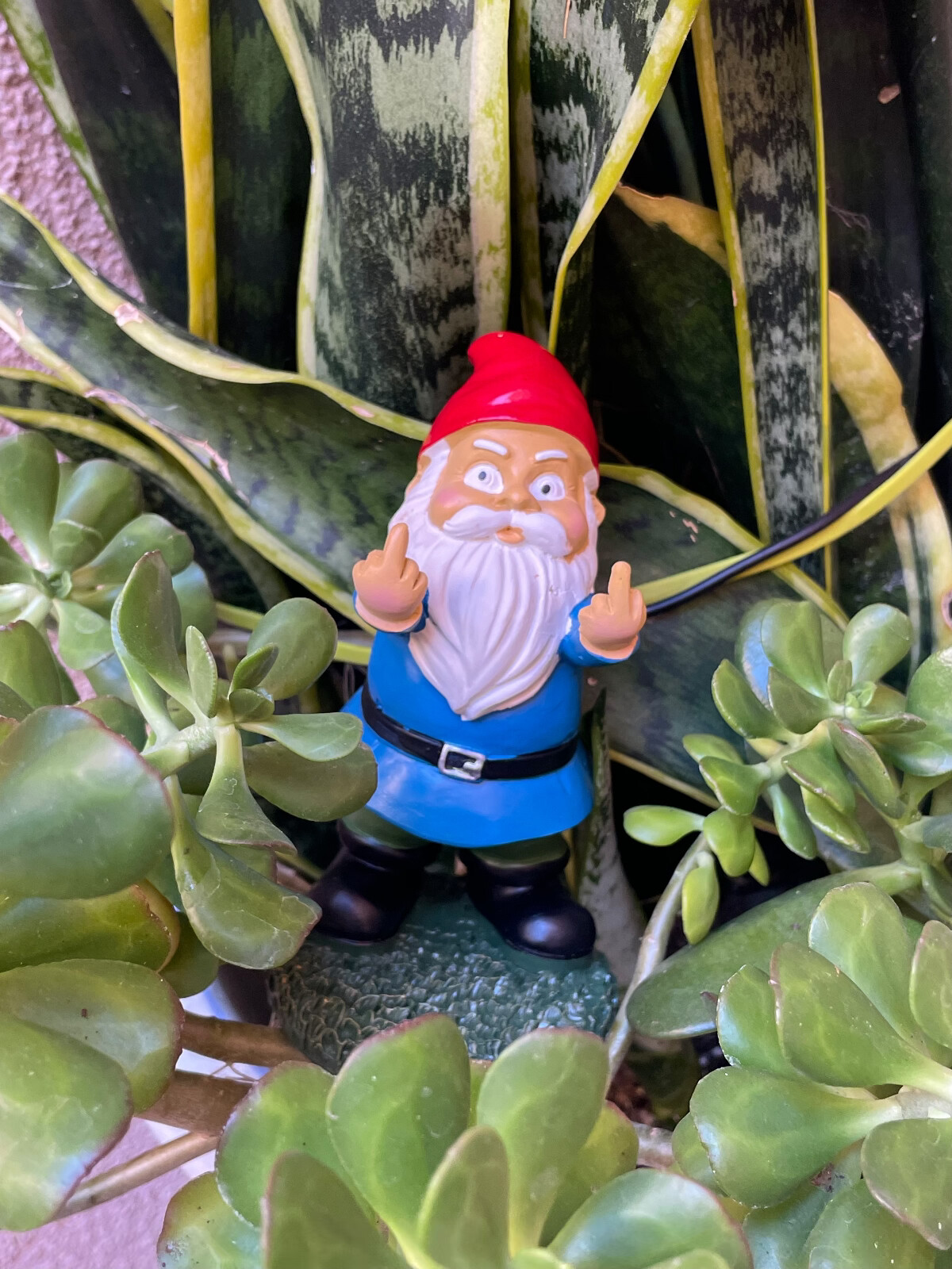6" Height Garden Gnome Naughty Ornament Home Middle Size Statue Resin Dwarf US