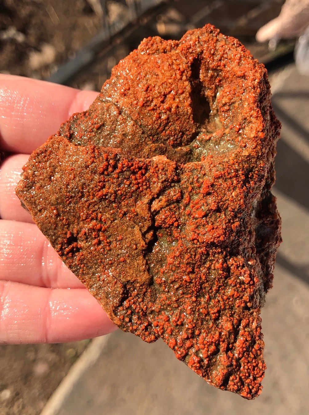 Utah Grape Agate 155g Rough Specimen Red Botryoidal Chalcedony Clear White