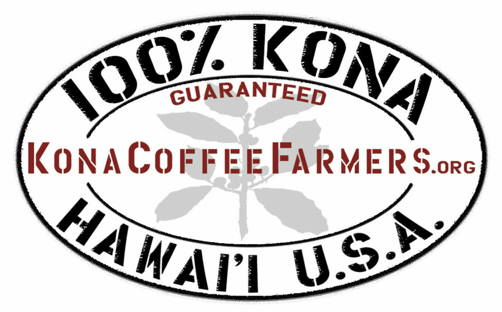 100% HAWAIIAN KONA COFFEE BEANS | CUSTOM ROASTED | 1 - 20 POUNDS IN 1 POUND BAGS