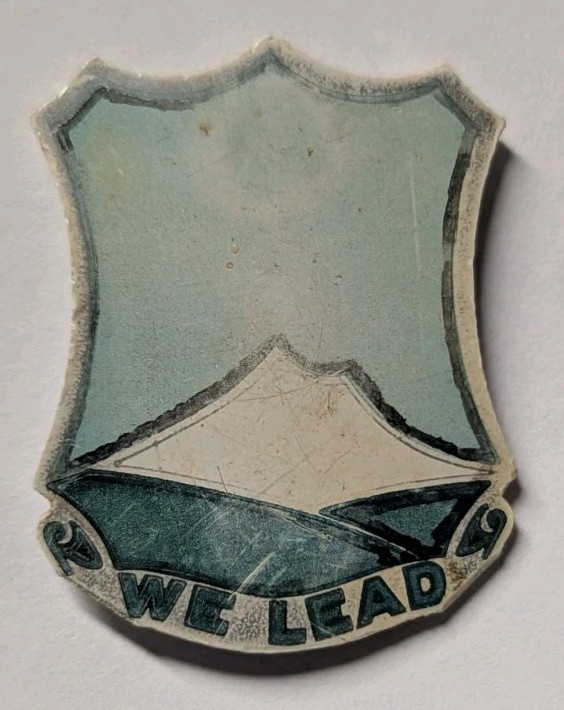 WW2 382nd Infantry Regt Plastic Unit Crest D.I.- 96 Div - Sew On Attachment