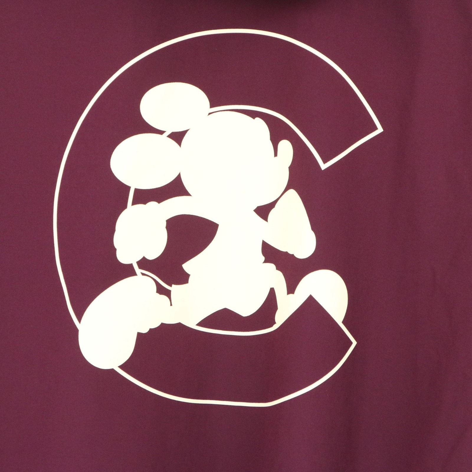 NWT 2026 Club Run Disney Brooks Burgundy Hooded Full Zip Canopy Jacket XXL