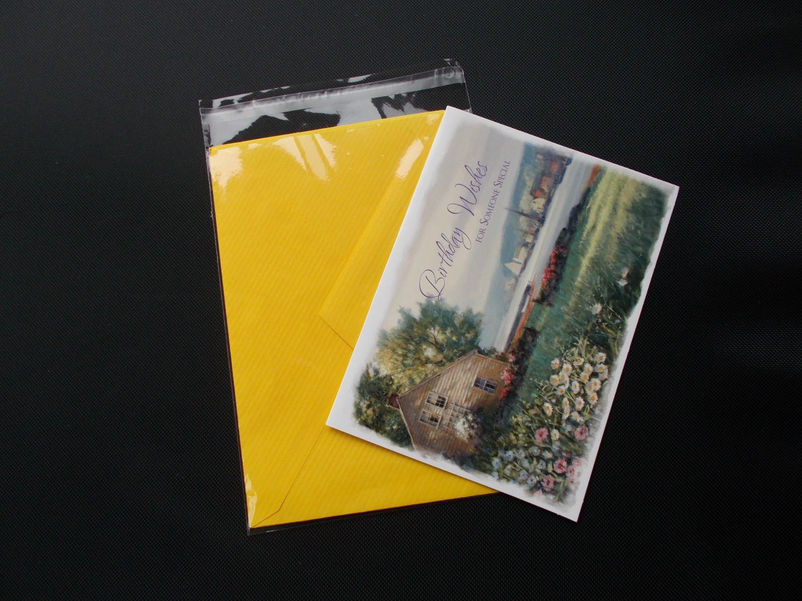 1000 A2+ 4 5/8 x 5 3/4 Clear Resealable Cello Bag Envelope Cellophane Sleeve