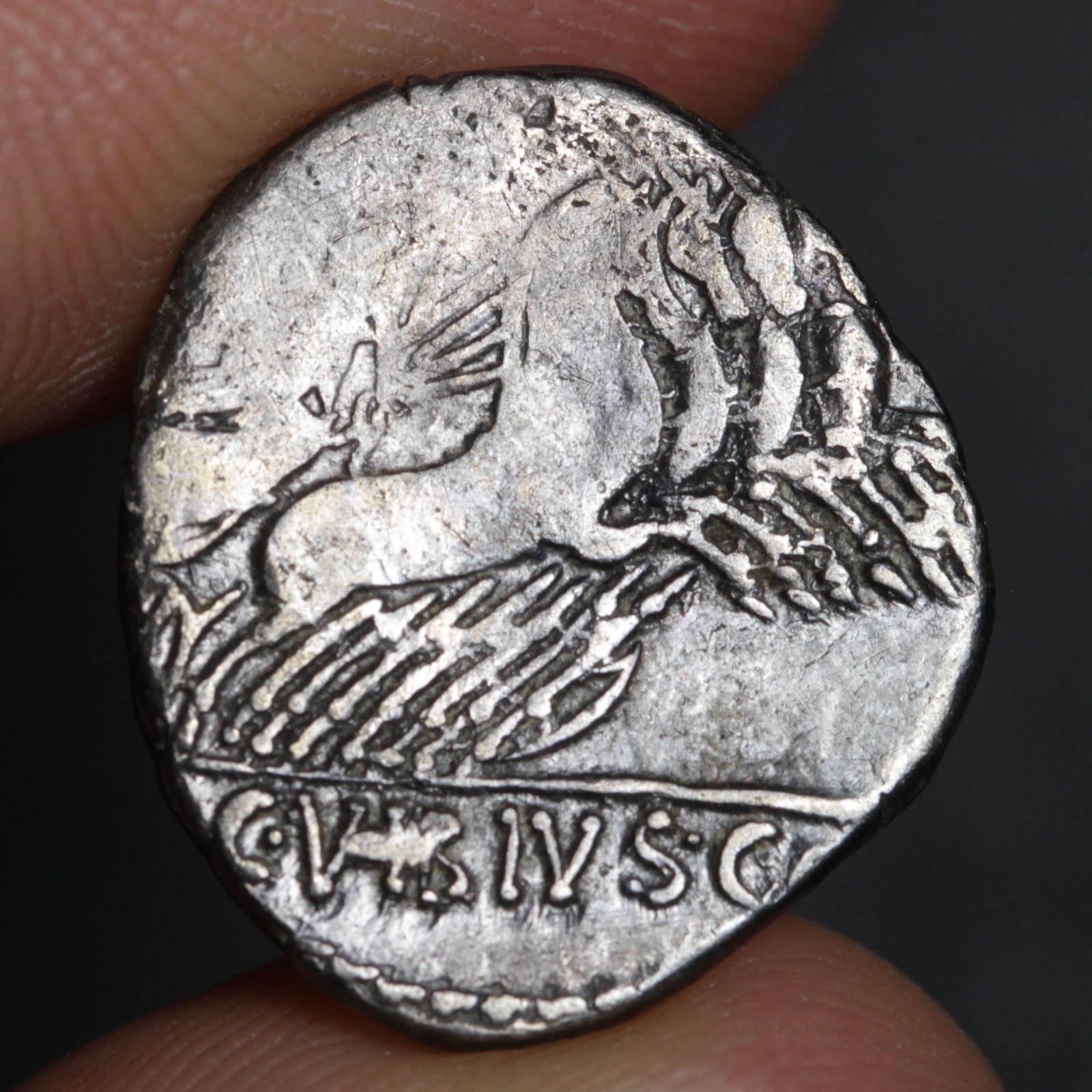 Apollo God of the Sun Denarius Ancient Roman Republic Silver Coin 90BC Pansa