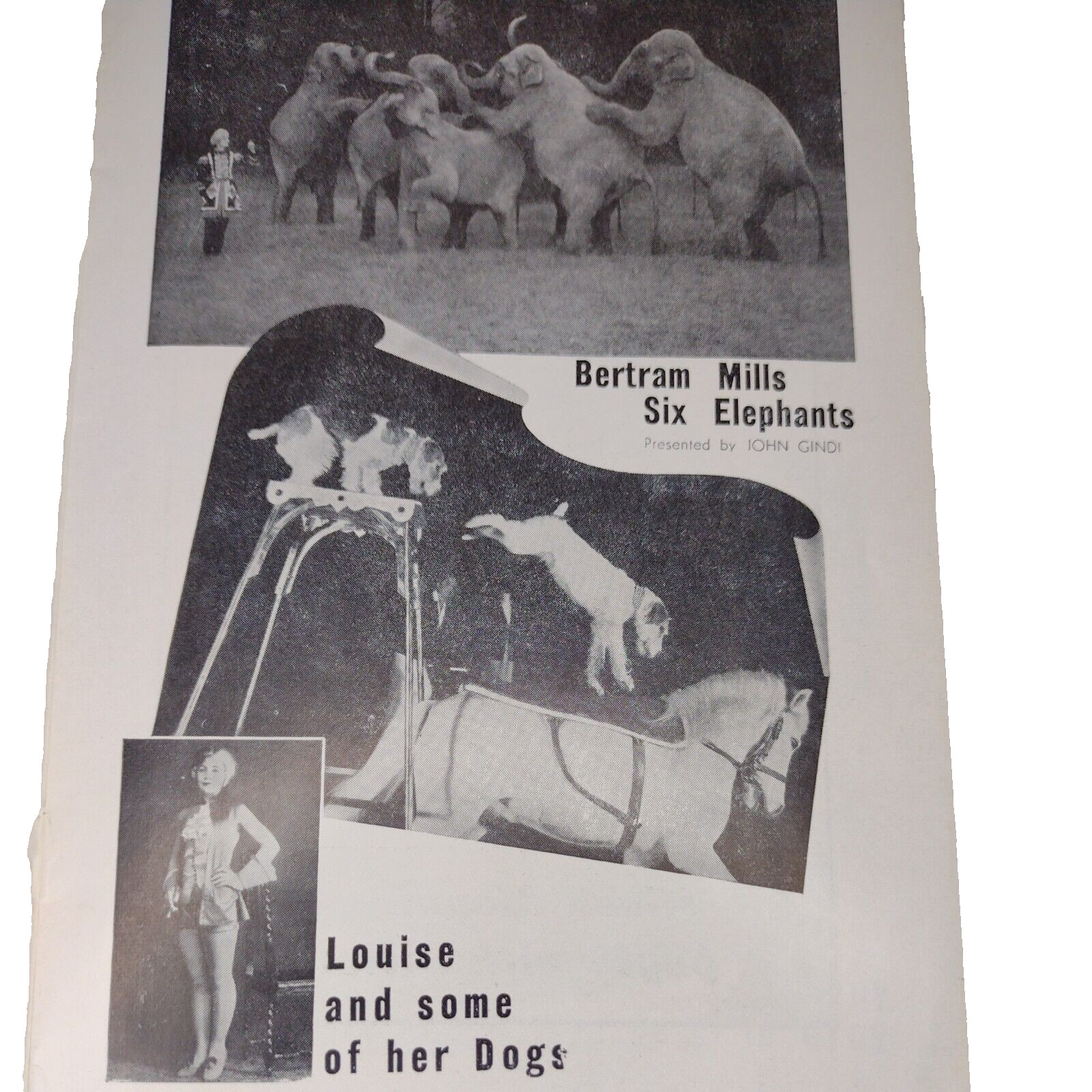 Vintage 1947 Bertram Mills Circus 12-page Program/Booklet for Great Britain Tour