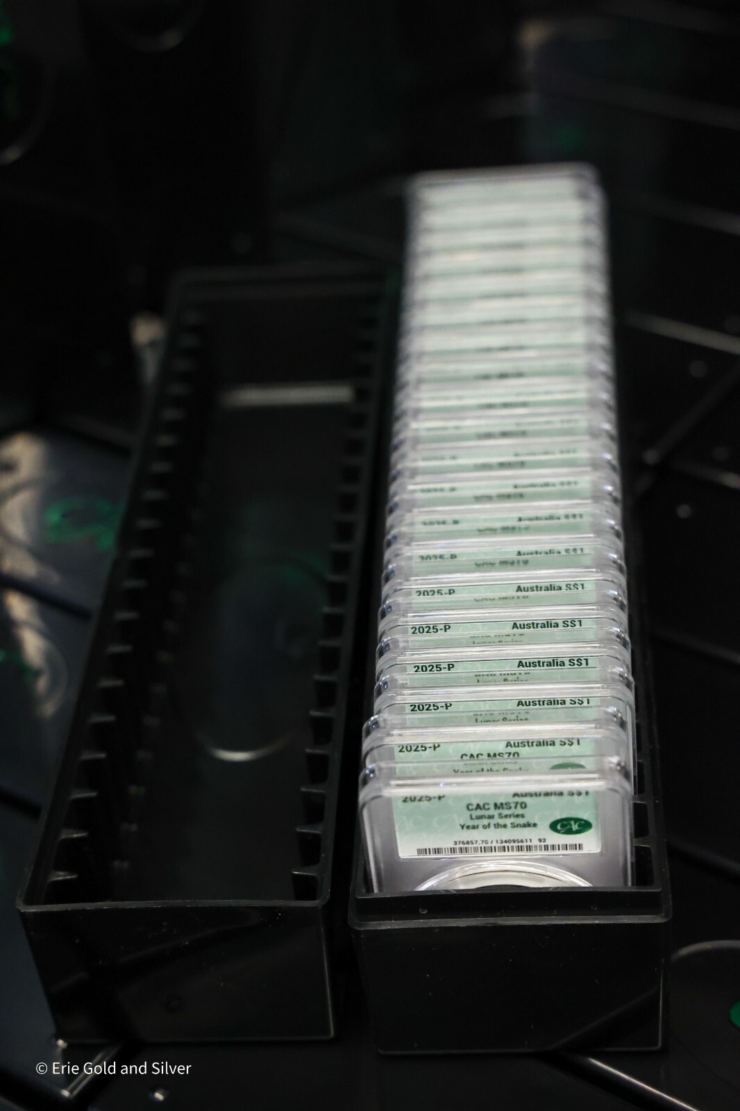 CAC Storage Holder Box "New" Holds 20 CAC Graded Slabs | Fits PCGS NGC ANACS ICG