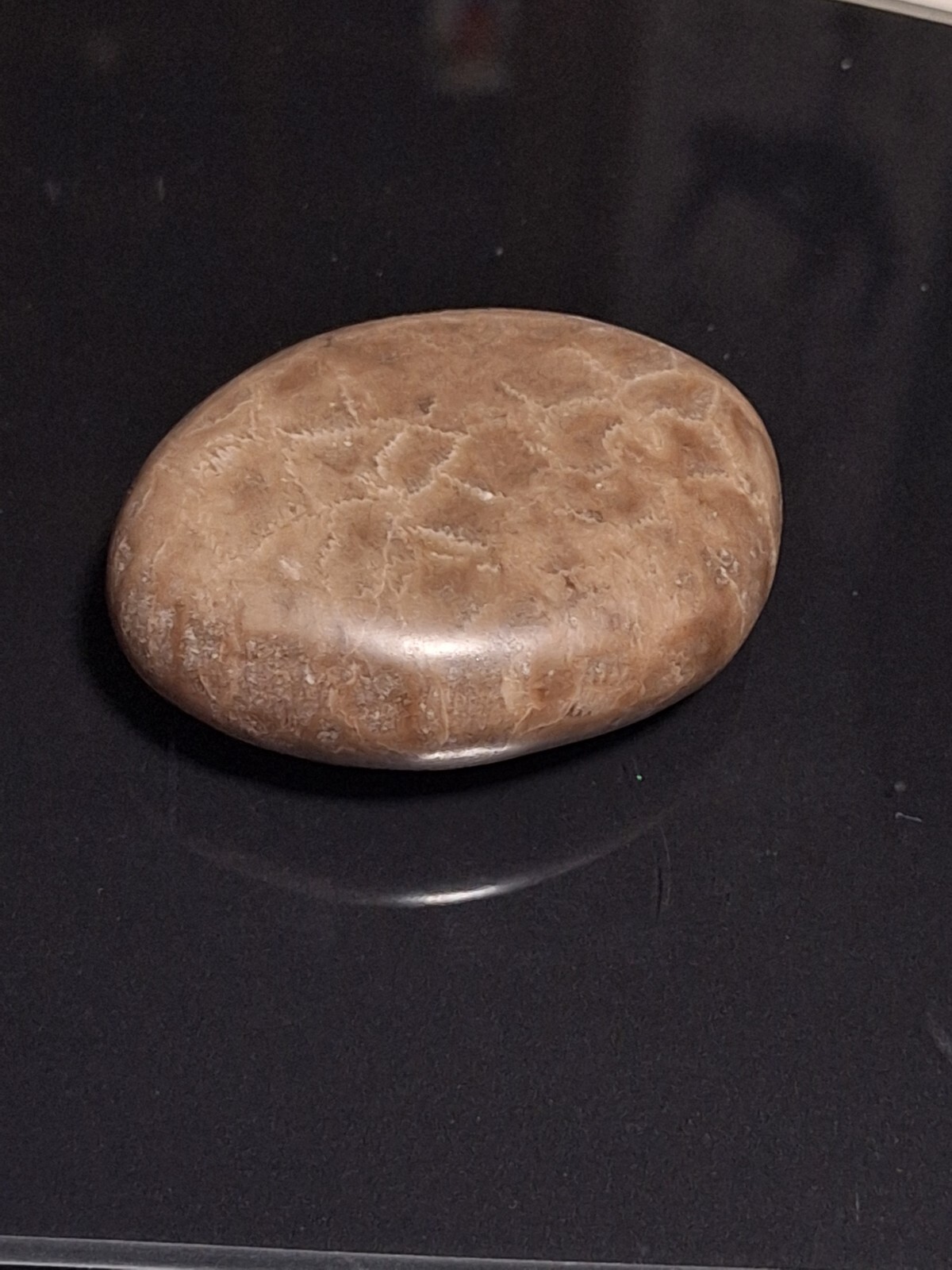 Hand polished Petoskey Stone, sm/md size. Semi precious, treasure, gift, fossil