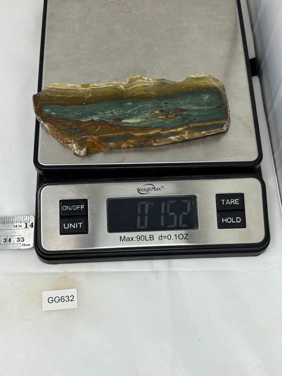 Gary Green Caldera Freedom Jasper Slab Cabbing Lapidary Combo Ship Avail