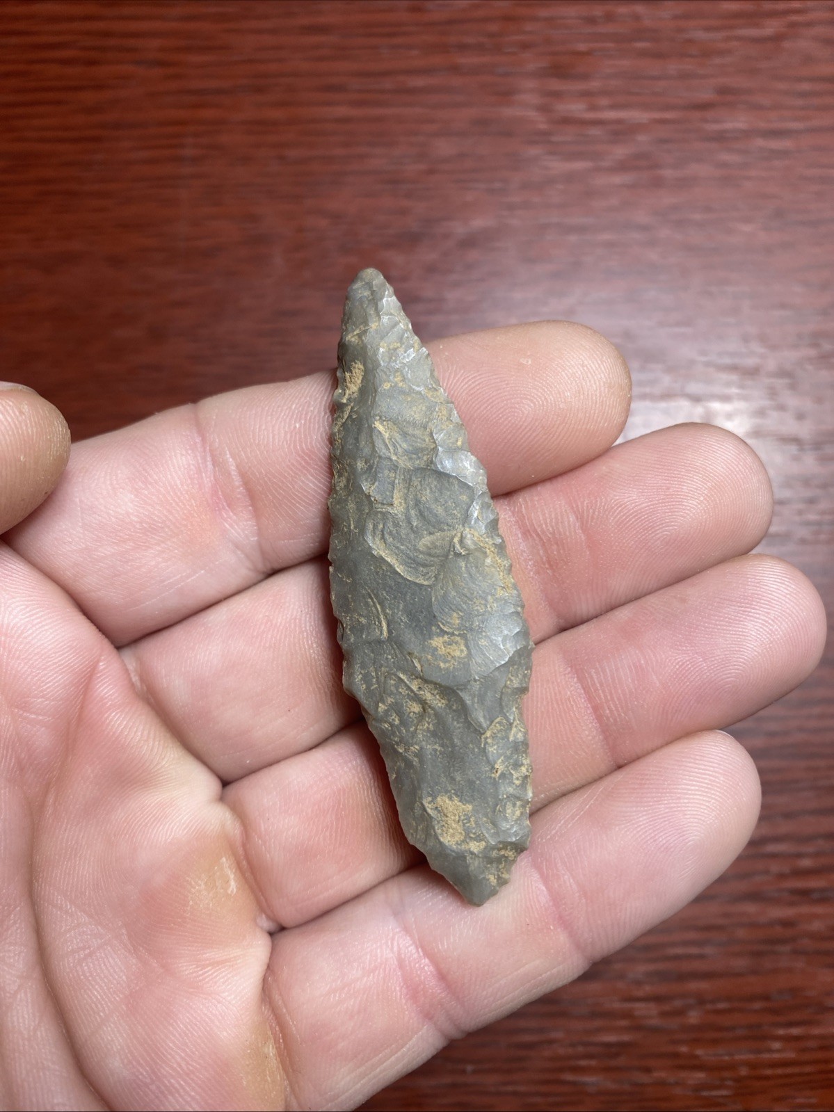 MLC s8264 2 5/8” Adena Turkeytail Arrowhead Ohio Stone Artifact