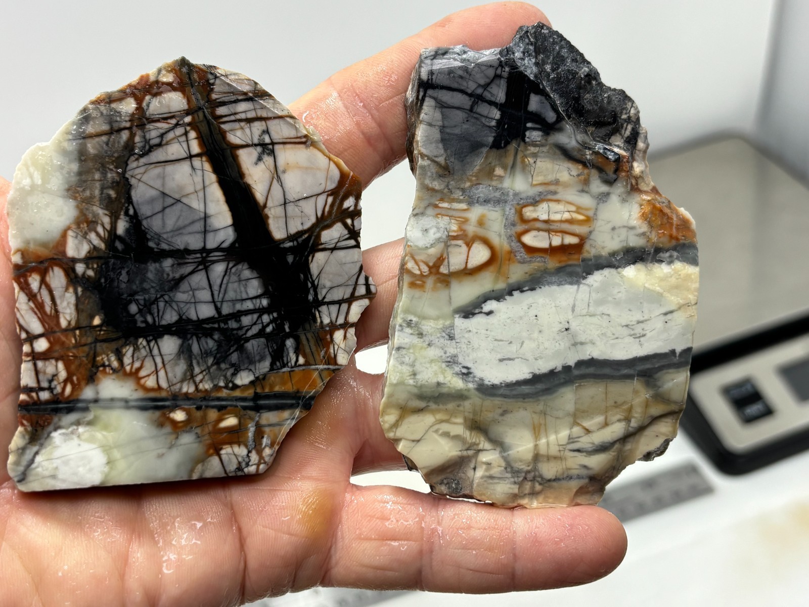 Picasso Marble (Jasper) Slabs Cabbing Lapidary Utah Combo Ship Avail