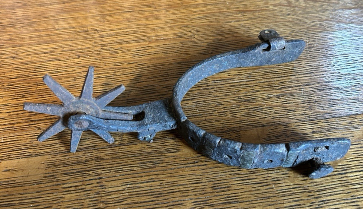 Western Type Spur with 8 Point Rowel