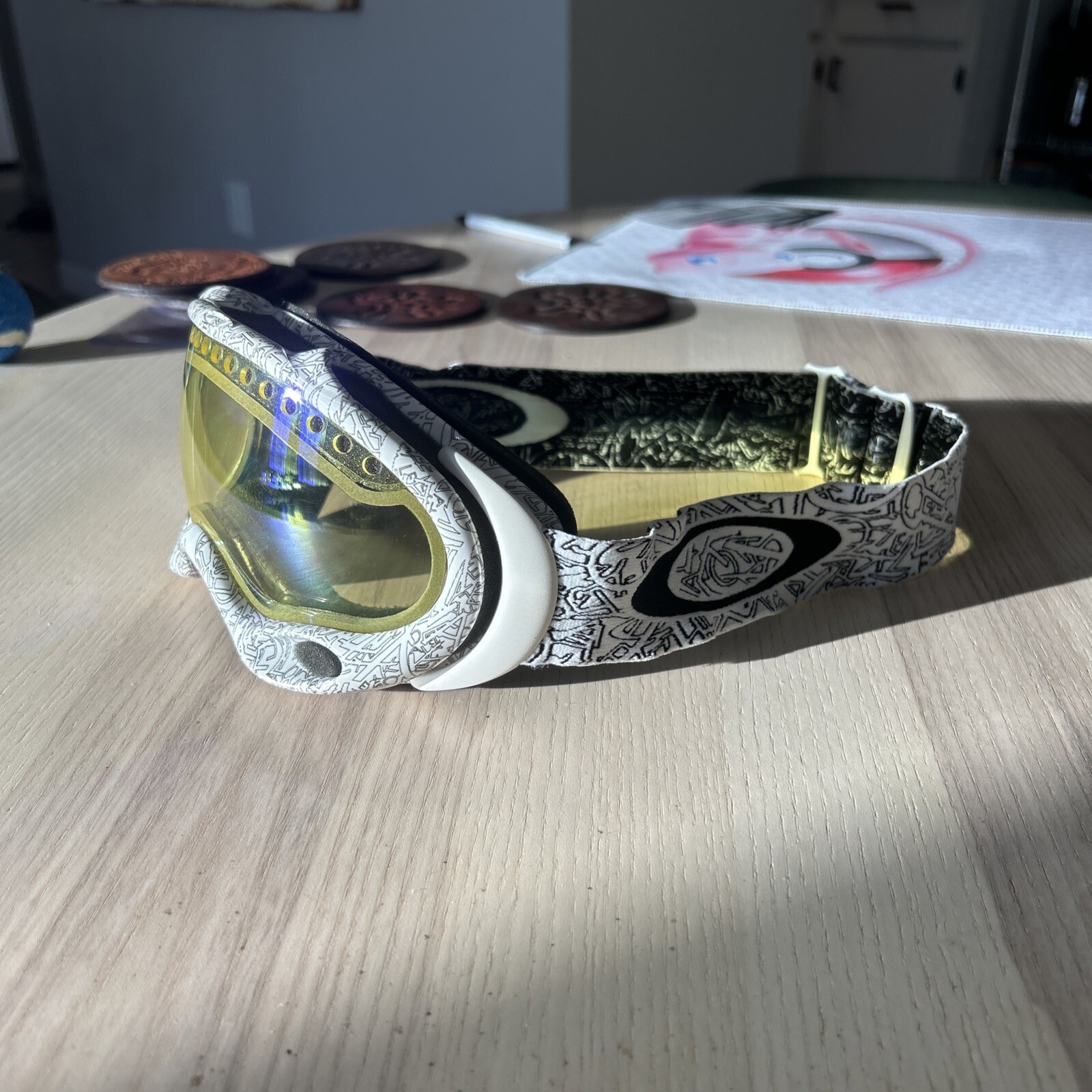 Oakley Crowbar Ski And Snowboard Goggles.