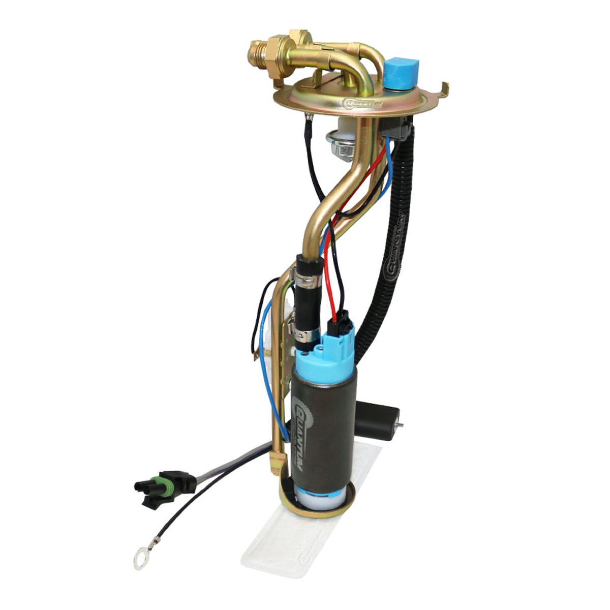 QFS Squarebody 73-91 Chevy GMC LS/LT Swap 255LPH AN Fitting Hanger +Send +Filter