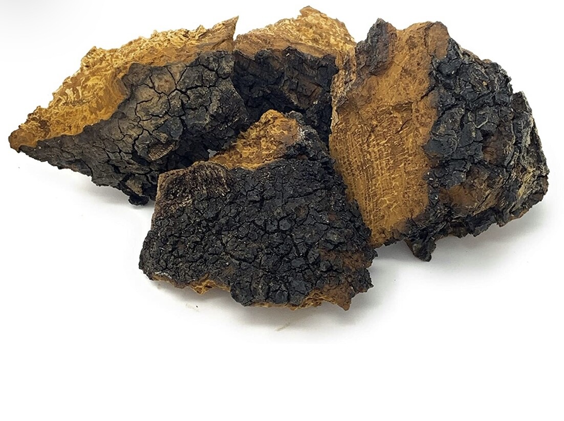 Northern Minnesota CHAGA chunks - 1.08LB PREMIUM MUSHROOM TEA ORGANIC