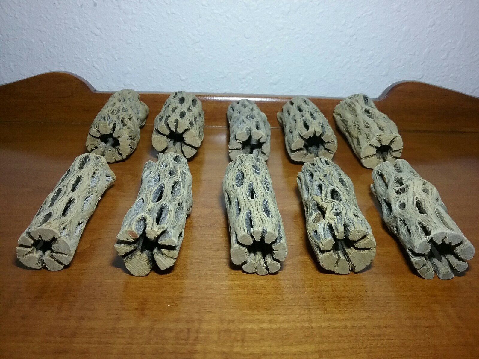 20 pieces CHOLLA Wood 3" L (~1" thick) | CLEANED! | Shrimp Aquarium, Air Plant