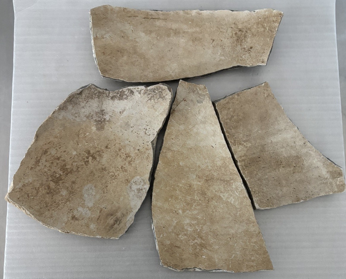 4 Ancient Anasazi Native American Pottery Shards 4” - 6” Arizona L5-G FREE SHIP