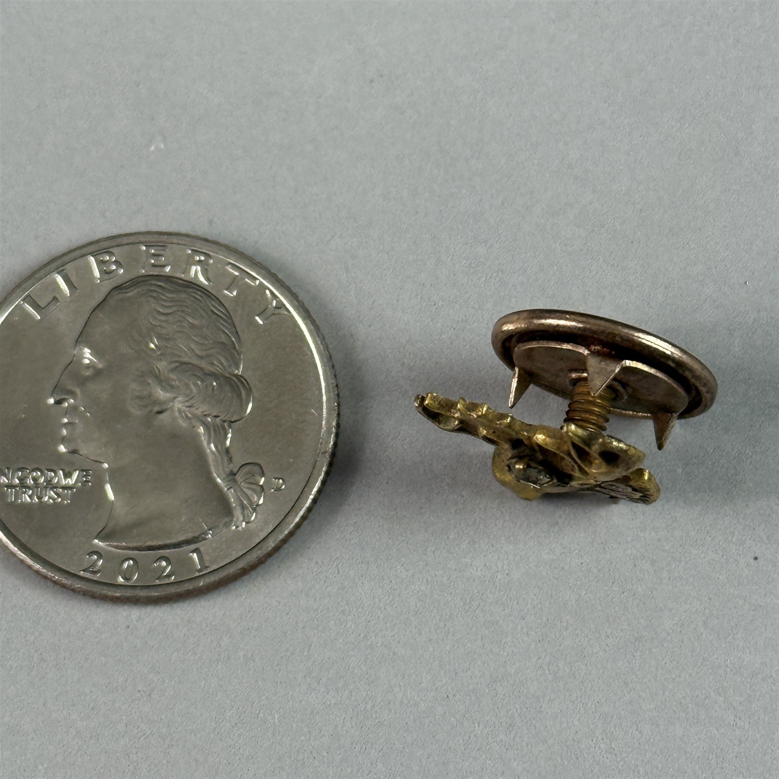 Vtg Loyal Order Of The Moose PAP Purity Aid Progress Stones Screw Back Pin 54731