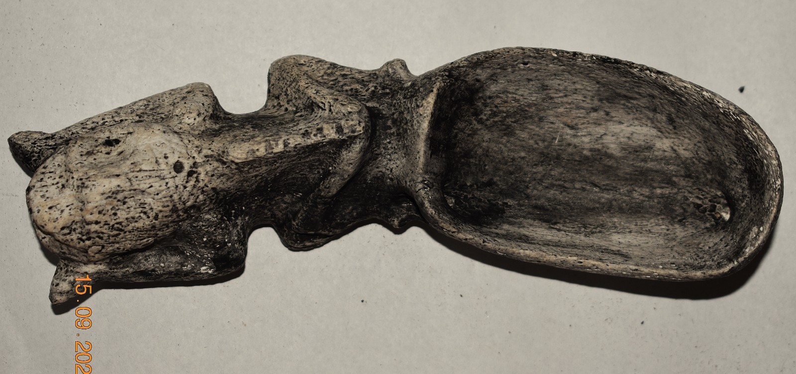 TAINO SHELL/BONE SPOON, 6" PROV