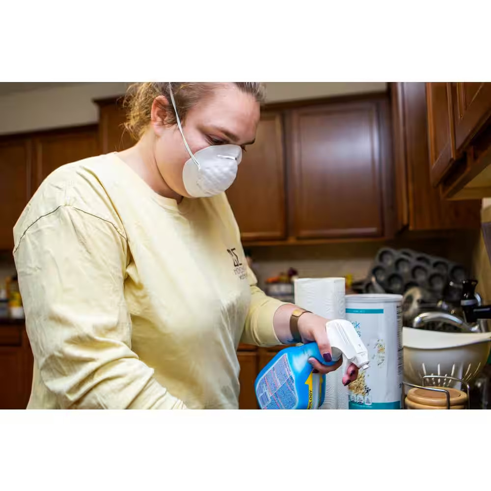 Particle Respirator Non-Toxic Dust Mask (50-Box)