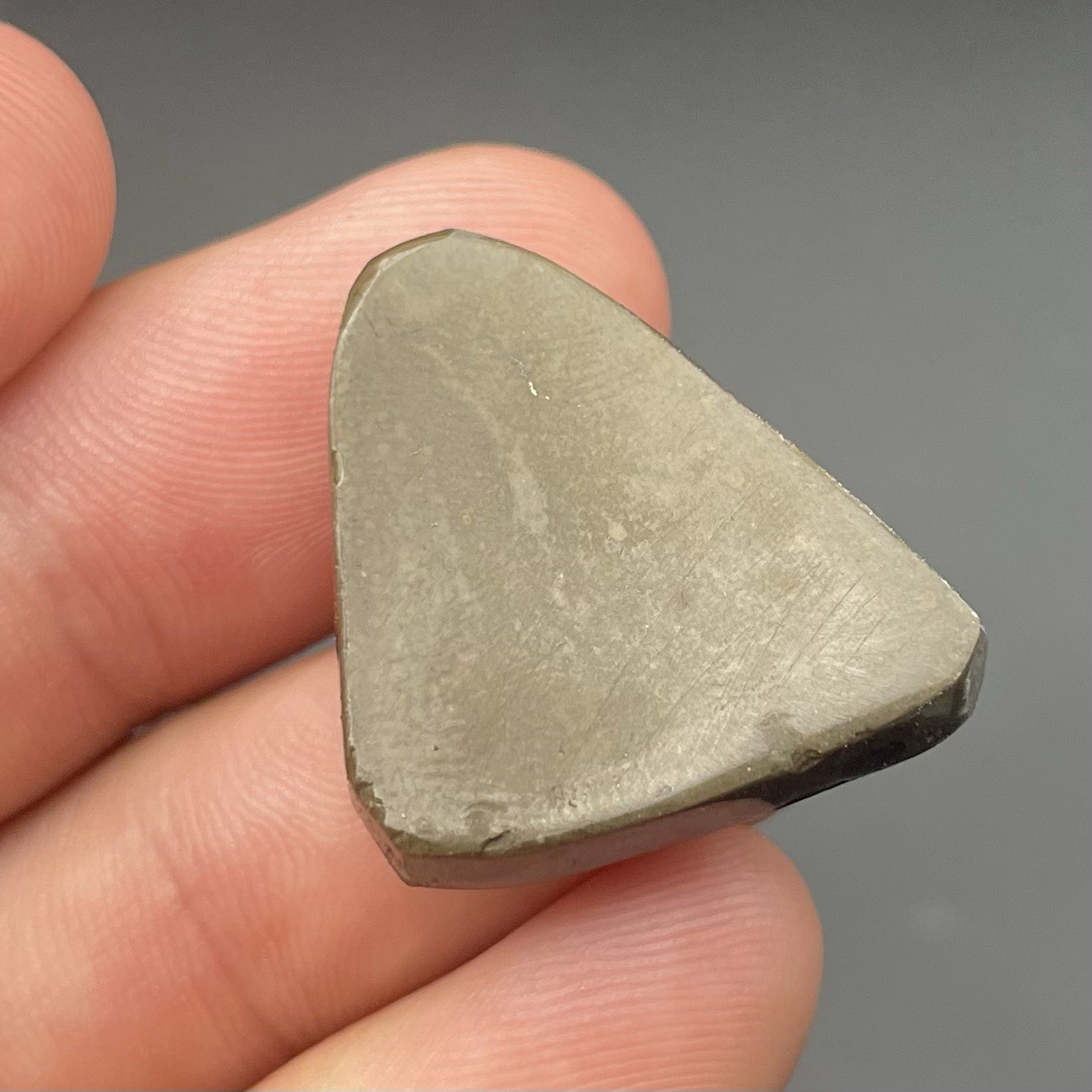 GORGEOUS GREEN CANADIAN AMMOLITE FOSSIL AMMONITE ALBERTA CANADA