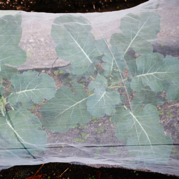 Farm Plastic Supply - Garden Insect Netting Screen - 40 Mesh - Choose Your Size