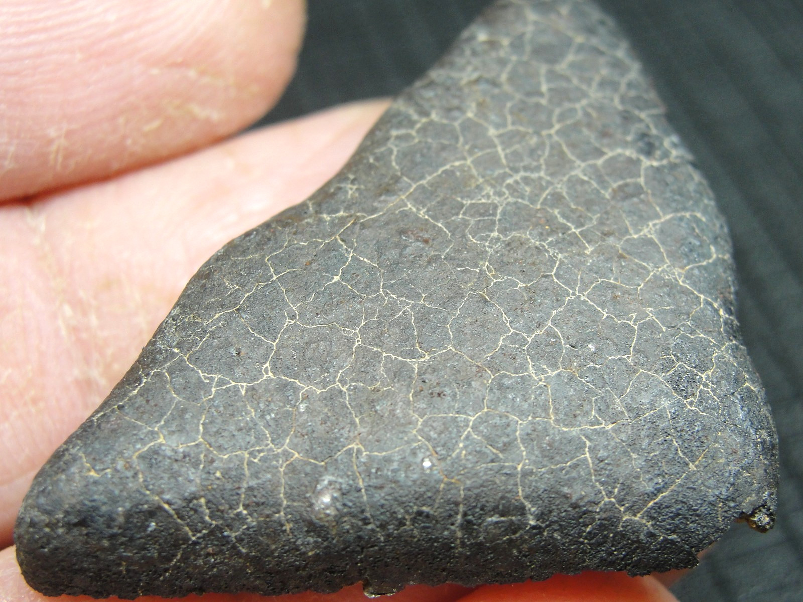 Ghadamis - HAH-346 - Libya 2019 - GAD-0384 - 13.49g - COA - Fusion Crust End Cut