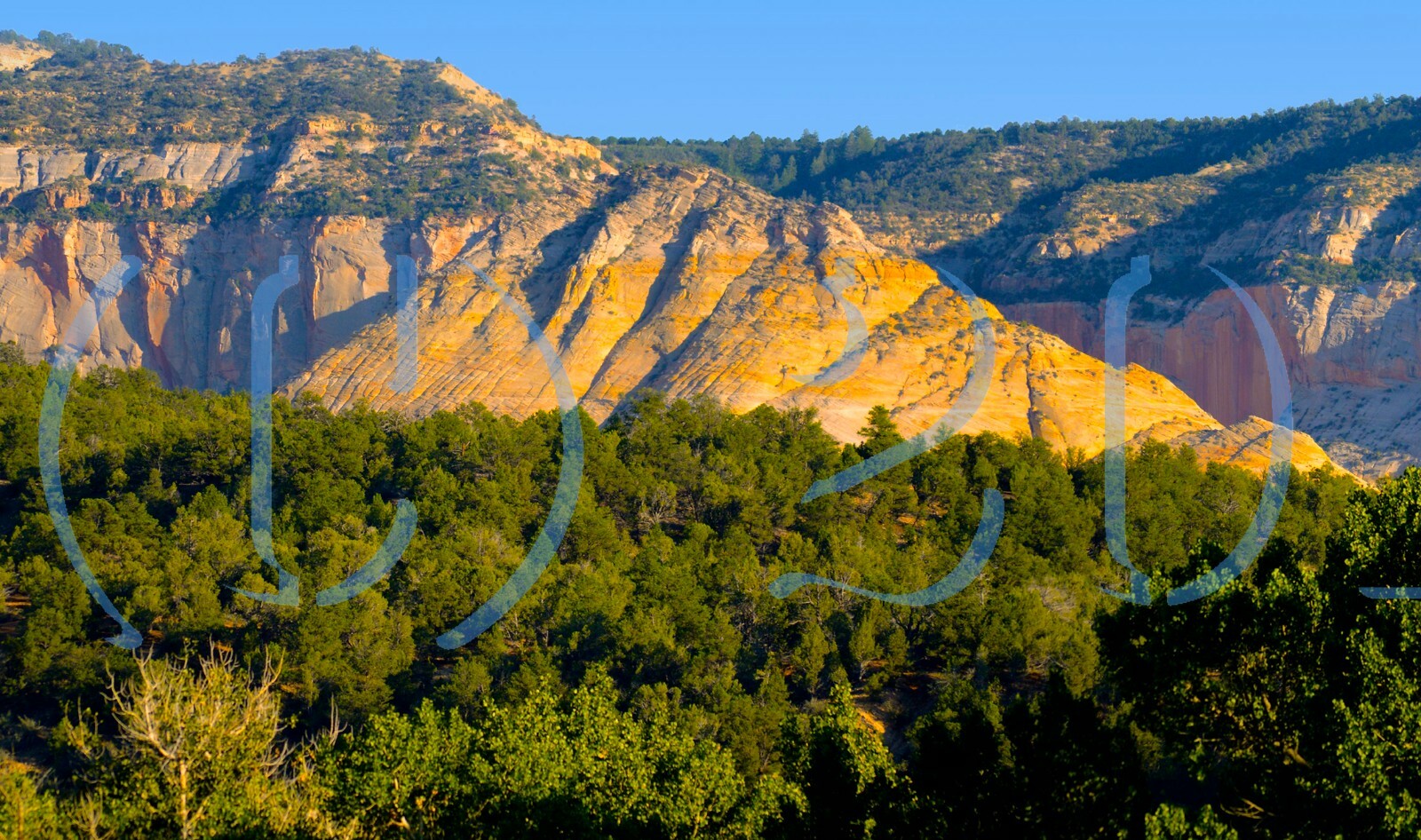 TrainJunkies Southwest Model Railroad Backdrop