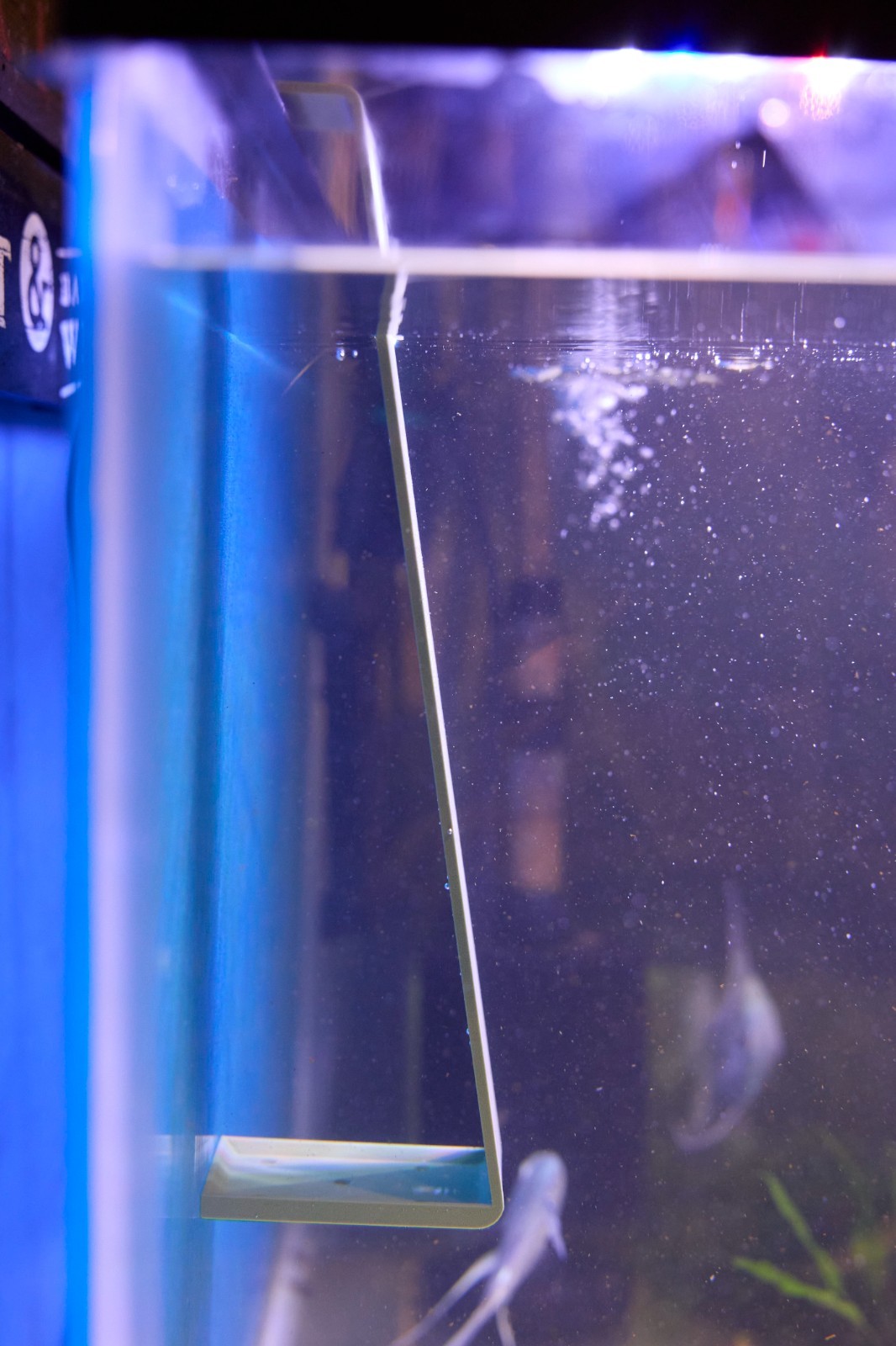 Angelfish & Discus Breeding Slate for Aquariums - Choose Color