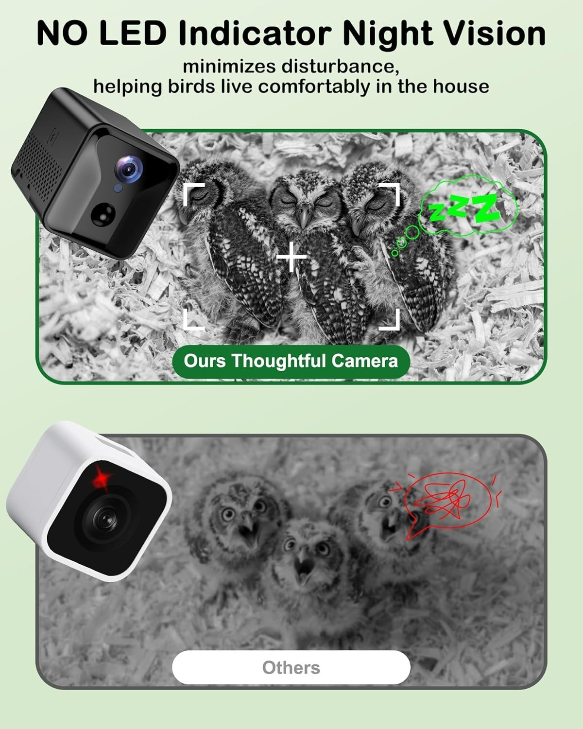 2K Owl Nesting Box Pine Wood 4G LTE Camera, Solar, Night Vision