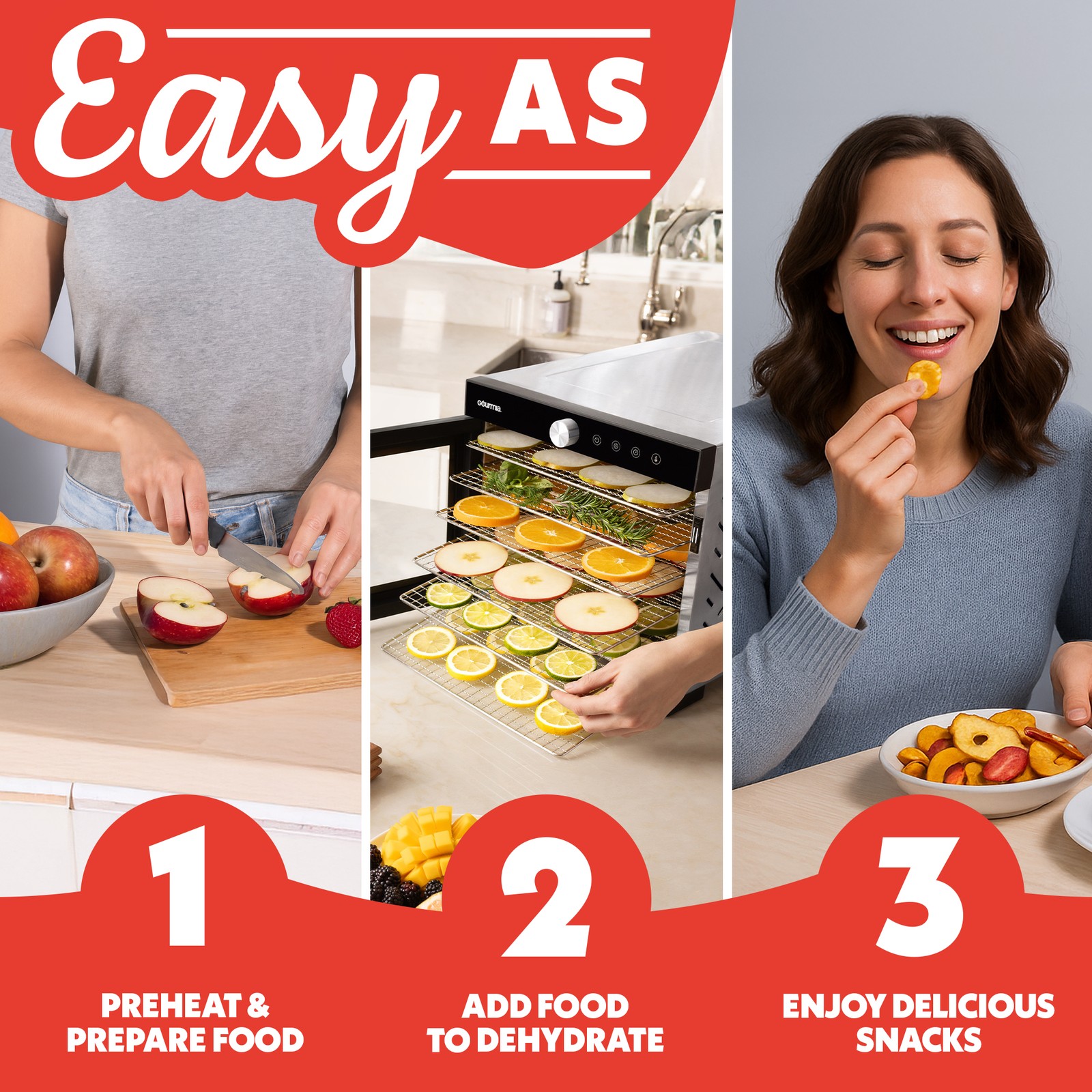 Gourmia 6 Tray Digital Food Dehydrator, Stainless Steel, Timer, Glass Door