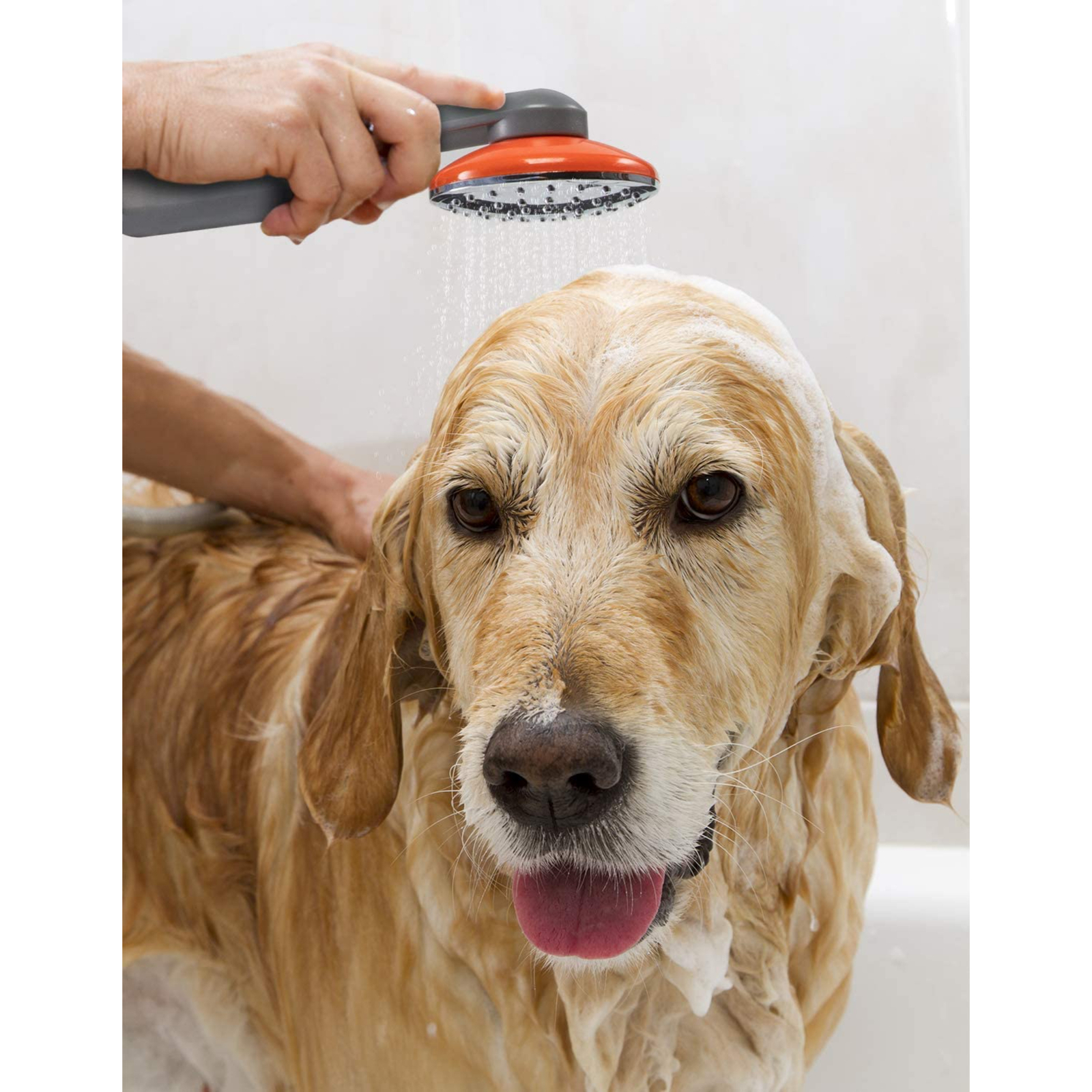 Ivation Portable Camping Shower, Compact Handheld & Hands-Free Portable shower