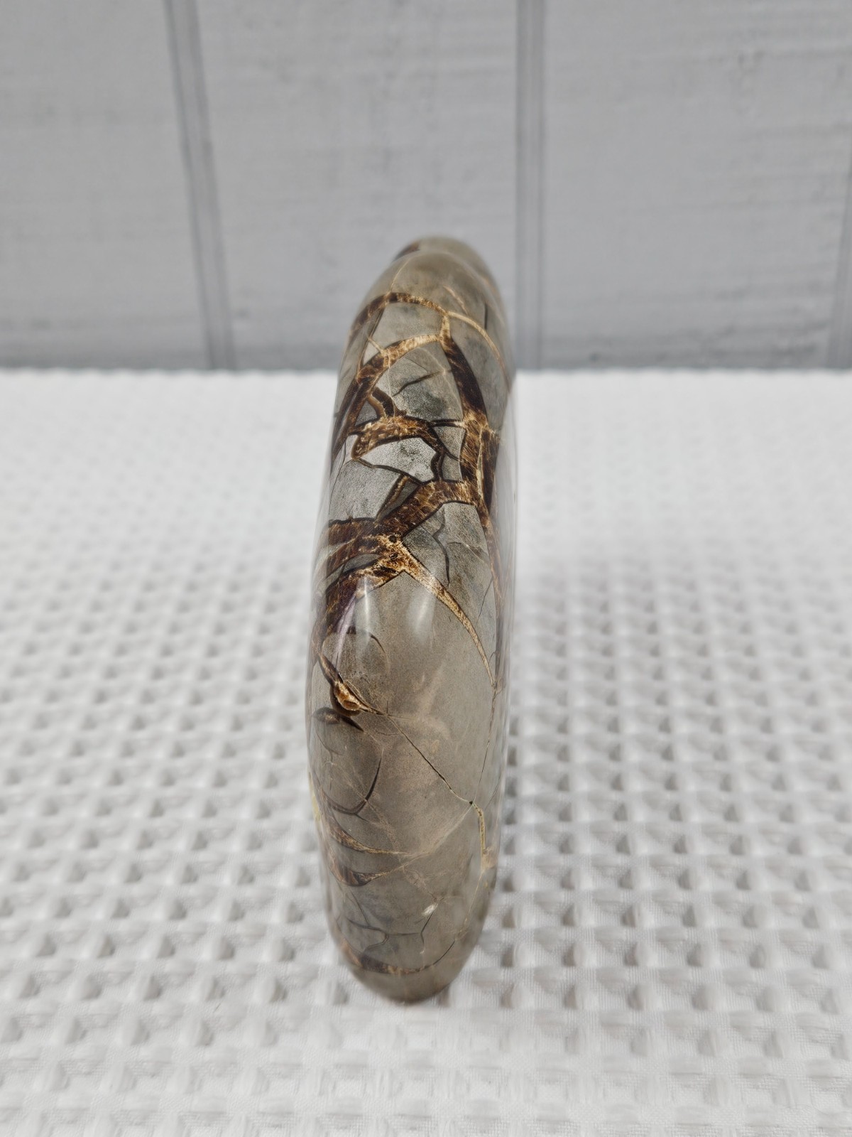 Septarian Nodule Geode Buffalo Bison Carved Natural Stone Crystal Zuni Decor 6"