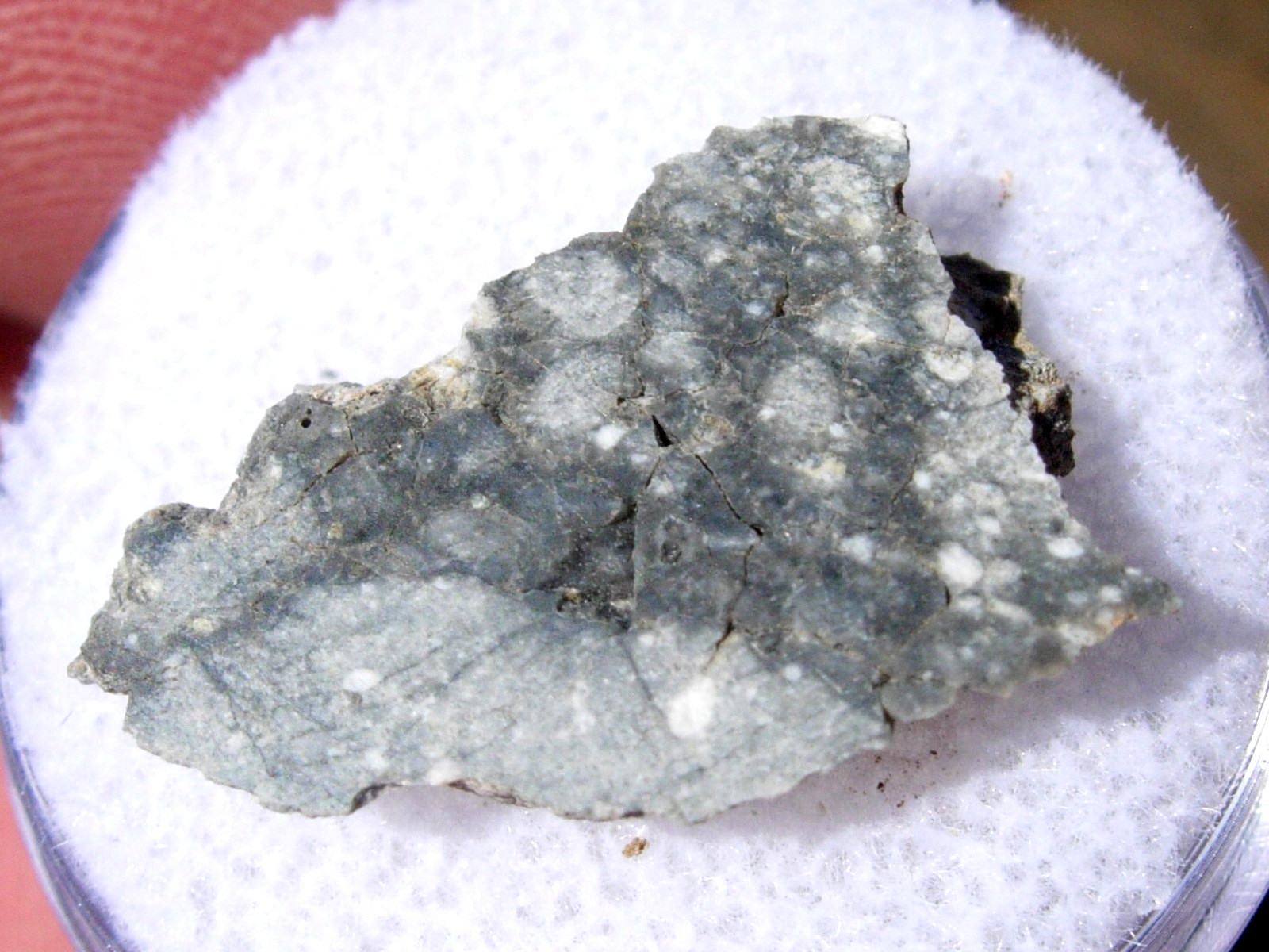 1.15 grams 19x12x3mm Gadamis 004 Lunar Meteorite slice in a gem case with a COA