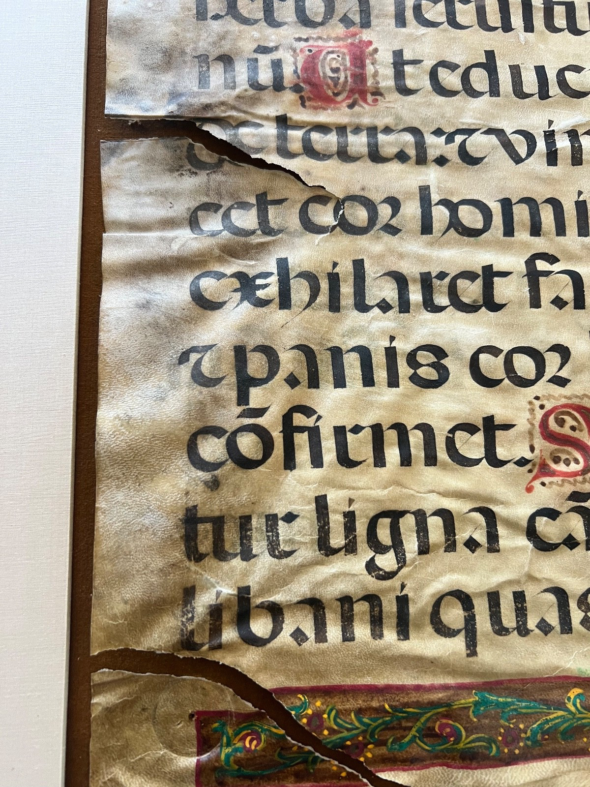 Rare Museum Large 15th century Illuminated Manuscript Leaf on Parchment