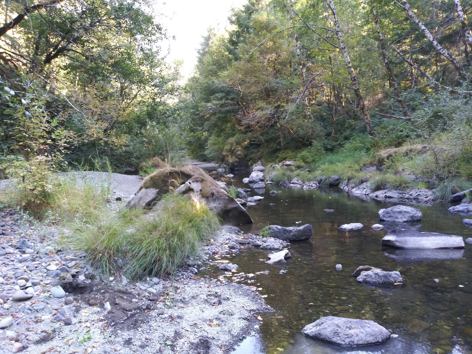 Republic Mining Prospectors Association Membership. Access to 18 Mining Claims.