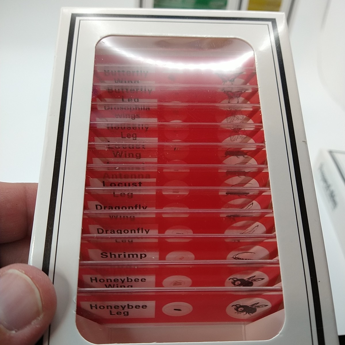 48Pcs Prepared Microscope Slides Specimen Animals Insects Plants Flowers Sample